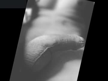 angelman9933553 - Live Male Cam – Free Gay Cam Show