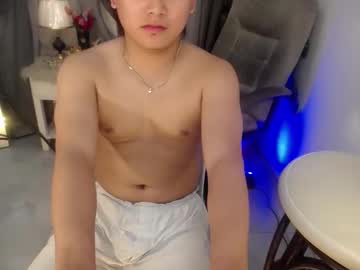 Asian_handsomexx, Lovense Lush on - Interactive Toy that vibrates with your Tips #asian #bigcock #young #new #twink, webcam photo