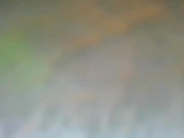 Dingdonmydickislong, 31 years old, goal show 🎯 Cock Out [50 tk left] #bigdick #uncut #new, webcam photo