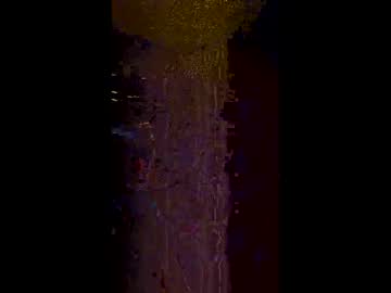Ethanfish600, Ethanfish600's room #18 #anal #fuckdildo #hairycock #new, webcam photo