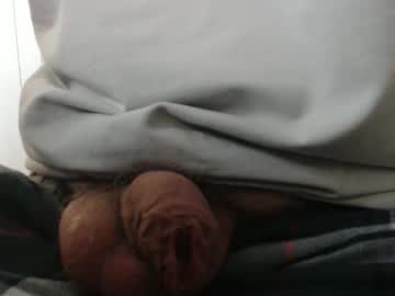 happyvelvetpaw - Live Male Cam – Free Gay Cam Show