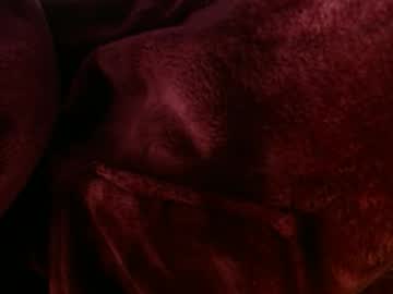 Rebornbutbored, #foreskin #bigcock  #hairy #shy #new Someone wanna help me cum first time on stream?? ;p, webcam photo