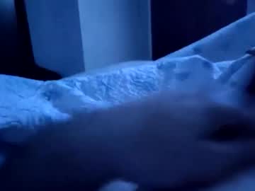 Thecuriousone88, Thecuriousone88's room #new #smallcock #play #shy, webcam photo