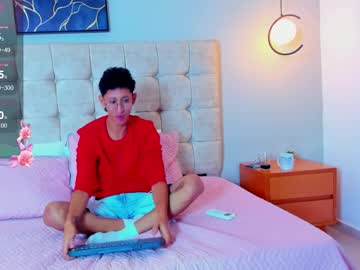 Twink_royale18, 18 years old, GOAL: KISS FRANCES [11 tokens remaining] Welcome to my room! #fuckmachine #anal #femboy #18 #skinny, webcam photo