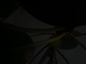 um_cammusc - Live Male Cam – Free Gay Cam Show