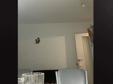 Vlamen007, Vlamen007's room #new, webcam photo